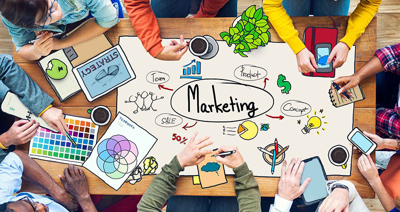 Power Your Digital Marketing Strategy with Vine Digital Studio